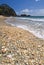 Sea shells on main beach, Mt Maunganui, Bay of Plenty, North Island, New Zealand