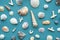 Sea shells pattern. Summery seashells background