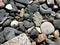 Sea Shells and Pebbles on the Shores of the Isle of Iona, Scotland