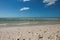 Sea Shells and Pelicans on Sandy Clam Pass Beach, Naples, Florida, USA