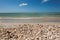 Sea Shells and Pelicans on Sandy Clam Pass Beach, Naples, Florida, USA