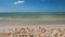 Sea Shells and Pelicans on Sandy Clam Pass Beach, Naples, Florida, USA