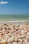 Sea Shells and Pelicans on Sandy Clam Pass Beach, Naples, Florida, USA