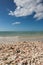 Sea Shells and Pelicans on Sandy Clam Pass Beach, Naples, Florida, USA