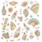 Sea shells set with funny design illustration, graphic