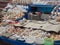 Sea shells shop at beach running small business