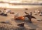 Sea shells, snails and starfish on a sandy beach at sunset. Generative Ai