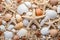 Sea Shells and Starfish on a Sandy Beach, Natural Treasures on the Coastline, Sandy beach with a collection of seashells and