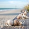 Sea shells on a wooden boardwalk near the beach, AI
