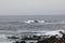 Sea Shore along China Rock, 17 Mile Drive, California, USA