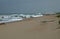 SEA SHORE WITH DRIFTWOOD ON BEACH