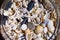 Sea shore shells, corals, stones in a glass bottle and wine glass