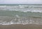 Sea shore: waves, wet sand and a lone gull