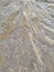 Sea side Sandbar Sea soil ocean water design art wet sand