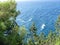 Sea and skala. Crimean landscape. Pine tree on the southern spur of Cape AI-Todor.