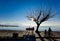 Sea sky deep blue in winter sunny day bench chairs by the beach tree in menidi  near to arta city greece