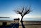 Sea sky deep blue in winter sunny day bench chairs by the beach tree in menidi  near to arta city greece