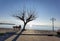 Sea sky deep blue in winter sunny day bench chairs by the beach tree in menidi  near to arta city greece