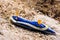 sea slug nudibranch on sand