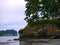 Sea stack near Sequim, WA