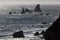 Sea Stacks and Northern California Coast