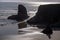Sea Stacks in silhouetted on the Oregon Coast near Bandon