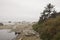 Sea stacks ta low tide  Pacific Ocean