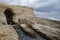 Sea stacks, Torre Sant\\\'Andrea, Salento, Italy