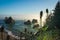 Sea stacks and wildflowers at the Oregon Coast with fog covering ocean