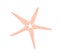 Sea star fish. Five-finger shaped marine starfish, mollusc. Exotic underwater ocean invertebrate animal. Summer beach