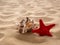 sea star and shell lie on the sand. The concept of rest, sea, travel