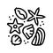 sea star and shell resin art line icon vector illustration