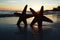 Sea star starfish Silhouette on sunrise beach