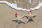 Sea-stars couple in santa hats on the sand.