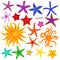 Sea stars set. Multicolored starfish on a white background. Starfishes underwater invertebrate animal. Vector