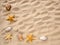 sea stars and shells lie on the sand. The concept of rest, sea, travel. Copy space