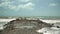 Sea and stone breakwater. Seashore, rocky pier and waves, no people. Wild coast of the Black Sea
