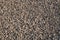 Sea stones background, Ground stone grey background of many small stones, Gravel texture. Small stones, little rocks, pebbles in