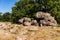 Sea of Stones near Szentbekkalla hun. SzentbÃ©kkÃ¡lla in the Kali basin, Hungary. Large meadow with huge stones is a tourist