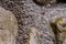 Sea stones in the sea water. Pebbles under water. The view from the top. Nautical background. Clean sea water. Transparent sea