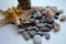 Sea stones, seashell and silver on a white background.