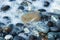 Sea stones and waves on the beach. Summer background