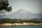 Sea and stony seashore landshaft covered with green plants. Nature on sunny day. Beautiful landscape with high mountain