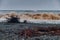 Sea storm with dirty waves and twigs on a pebble beach