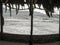 Sea storm view from palm leaves roof