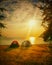 Sea sunlight sky beach camping tent