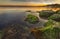 Sea sunset with colorful moss over the rocks