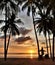 Sea sunset, horizon view through silhouette of coconut trees on the beach, orange sunbeam in Phangnga Thailand