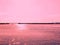 Sea sunset seascape background landscape nature clouds ocean wave  pink color living coral  sunlight