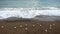 Sea surf, waves on the stone coast with gulls on a cloudy day, front view.